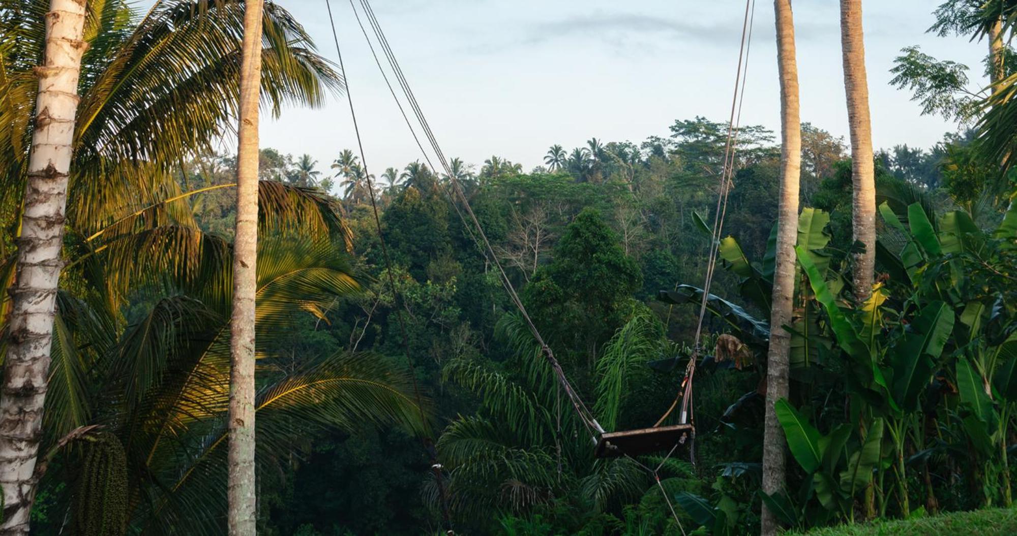 Bobocabin Ubud, Bali מראה חיצוני תמונה